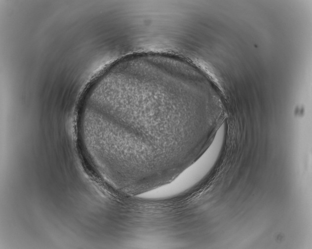 X0000090760680200708101748