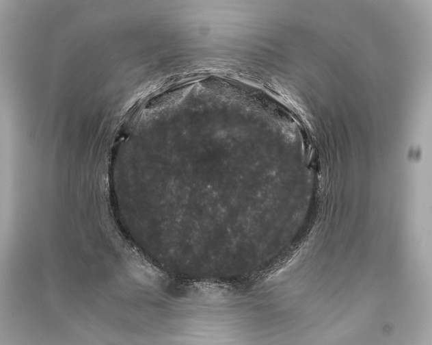 X0000090760681200708101748