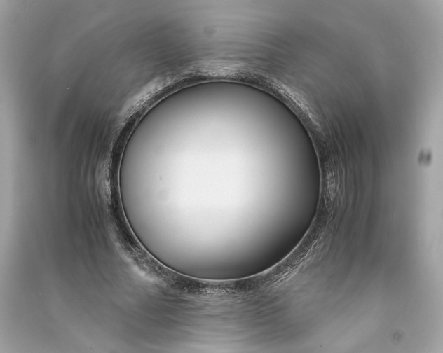 X0000090760682200708101748