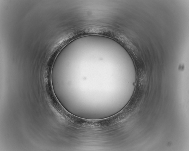 X0000090760683200708101748