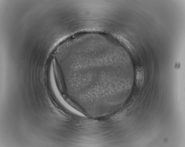 X0000090760684200708101748