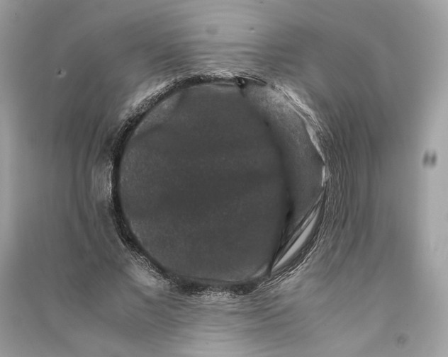 X0000090760685200708101748