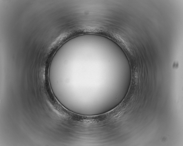 X0000090760686200708101748