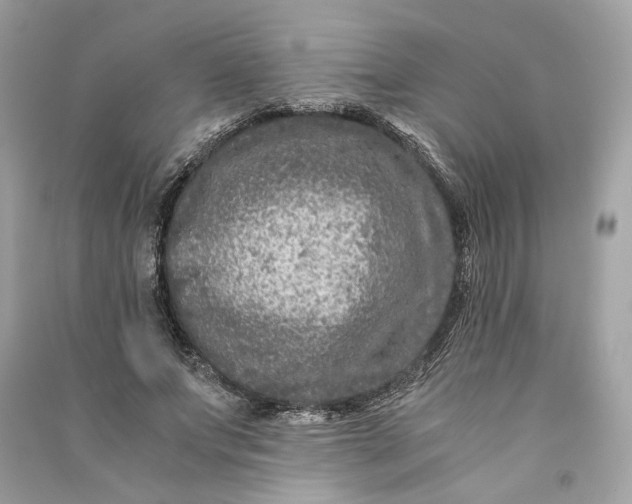 X0000090760687200708101748