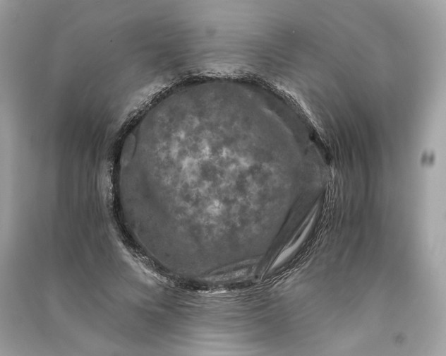 X0000090760688200708101748