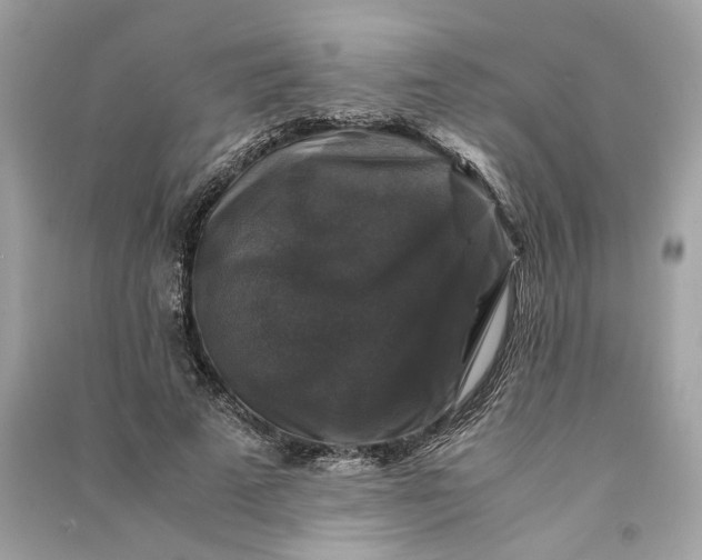 X0000090760689200708101748