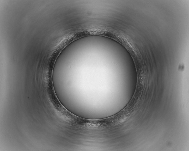 X0000090760690200708101748