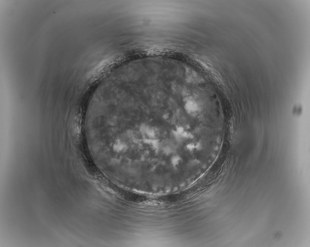 X0000090760691200708101748