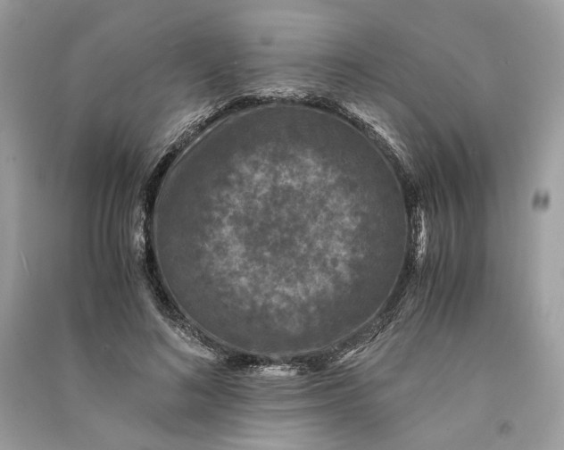 X0000090760692200708101748