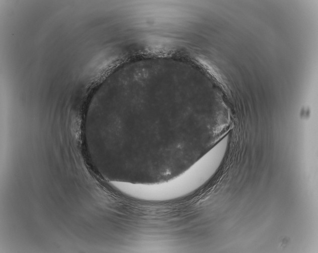 X0000090760693200708101748