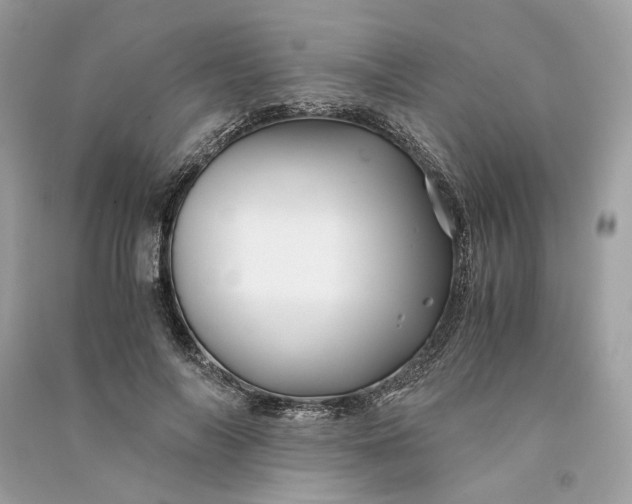 X0000090760694200708101748