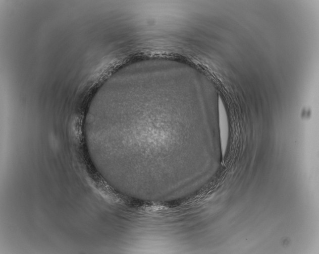 X0000090760695200708101748