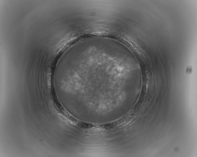 X0000090760696200708101748