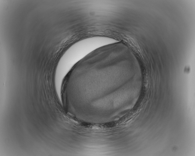 X0000090760697200708101748