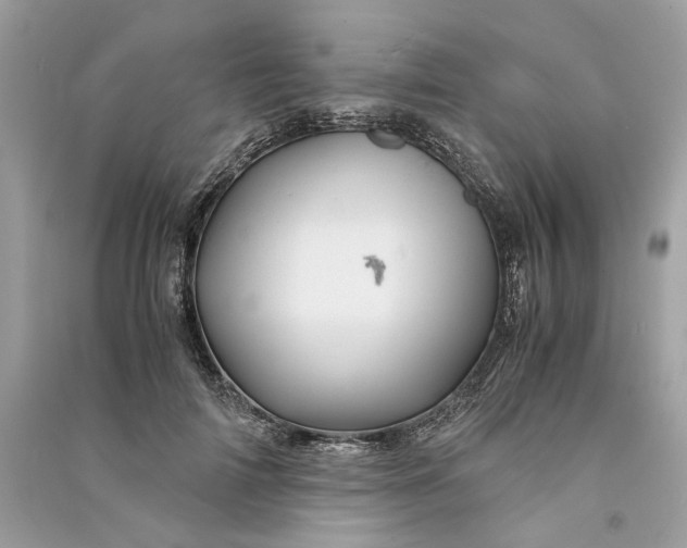 X0000090760698200708101748