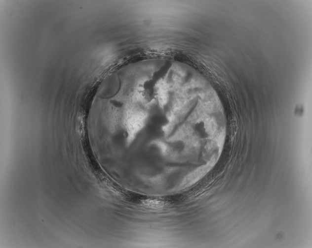 X0000090760699200708101748