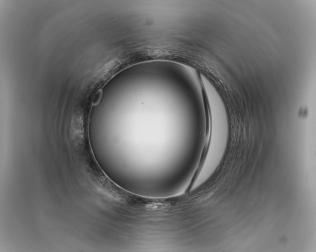 X0000090760700200708101748