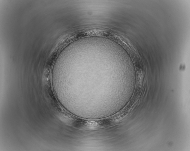 X0000090760701200708101748