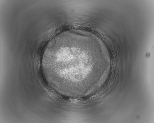 X0000090760703200708101747