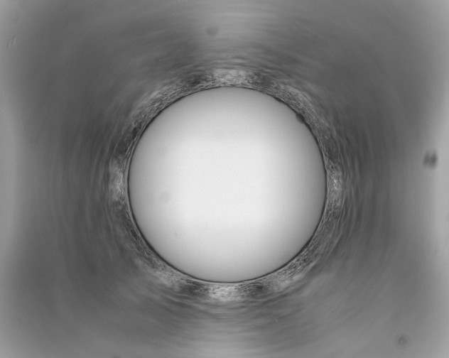 X0000090760705200708101747