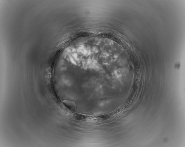 X0000090760707200708101747