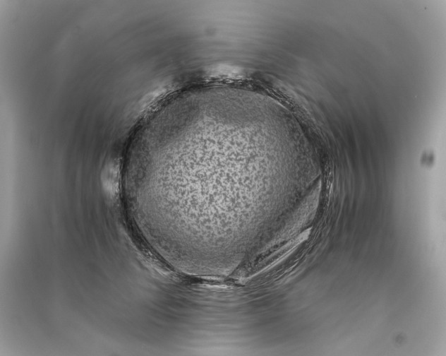 X0000090760708200708101747