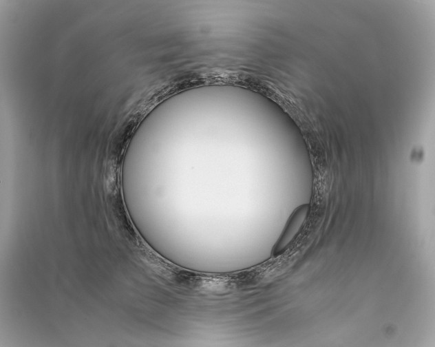 X0000090760709200708101747