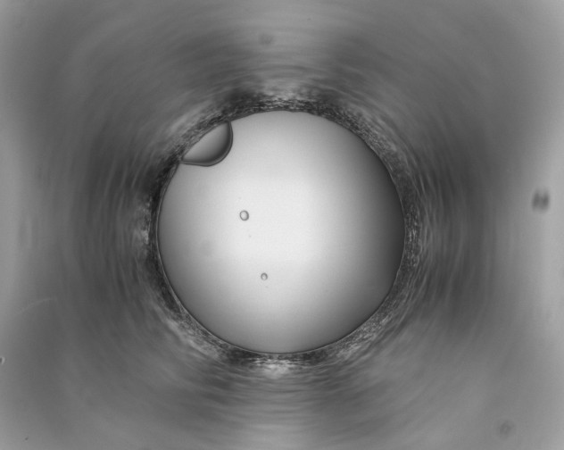 X0000090760710200708101747