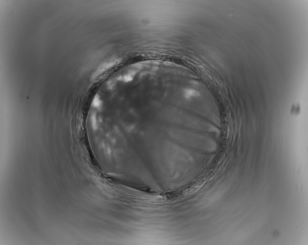 X0000090760711200708101747