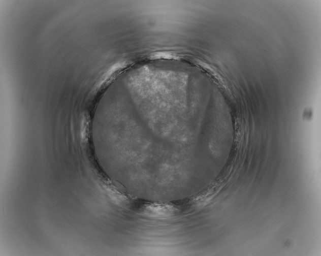 X0000090760712200708101747