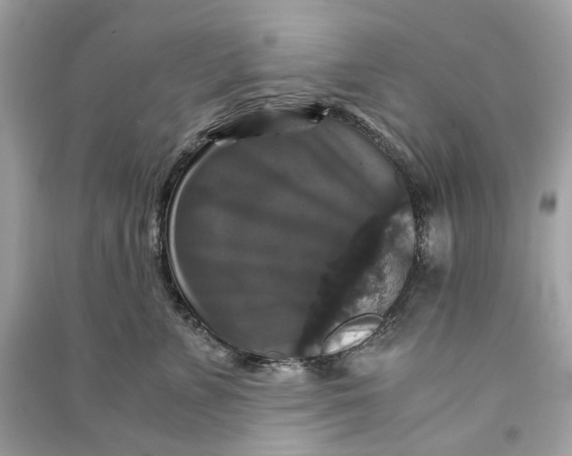 X0000090760715200708101747