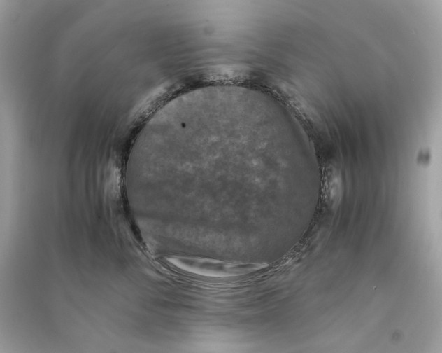 X0000090760716200708101747