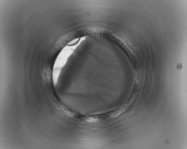 X0000090760718200708101747