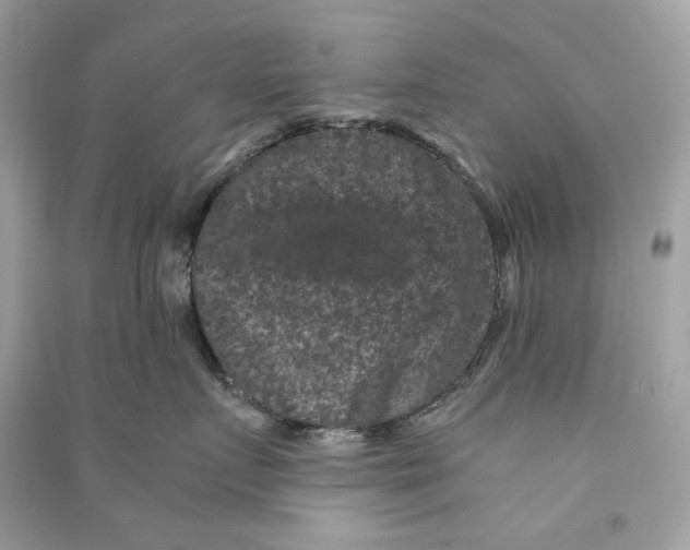 X0000090760719200708101747