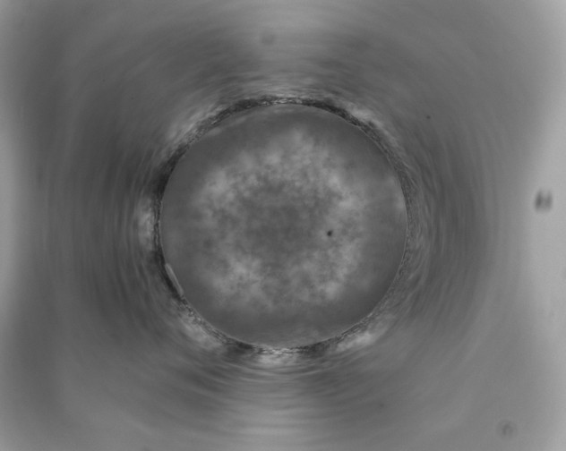 X0000090760720200708101747