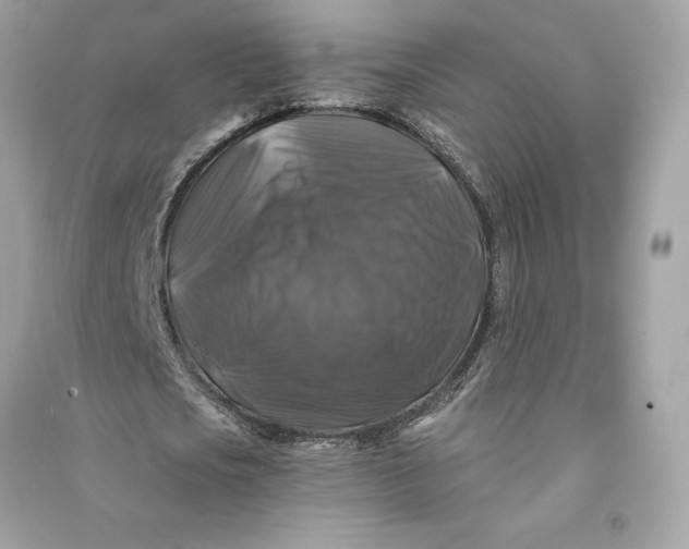 X0000090760721200708101746