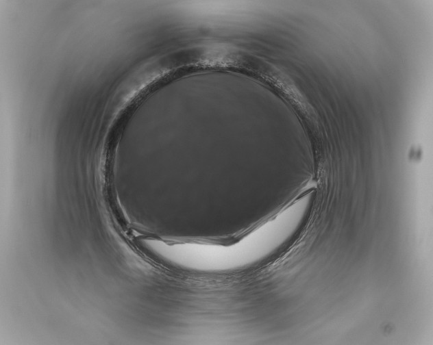 X0000090760722200708101746