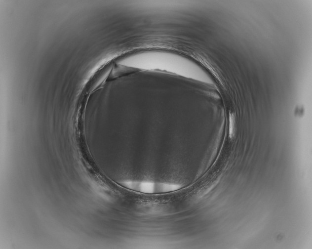 X0000090760723200708101746