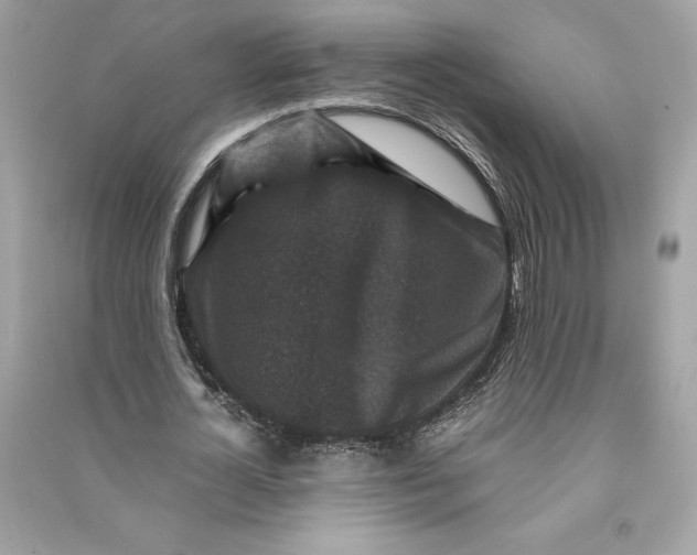 X0000090760724200708101746