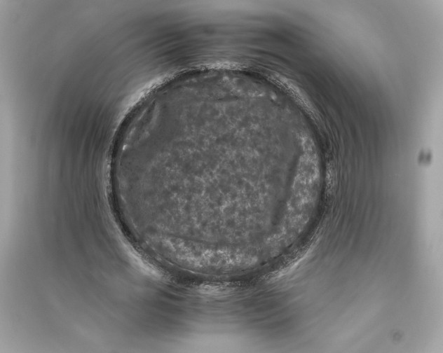 X0000090760725200708101746