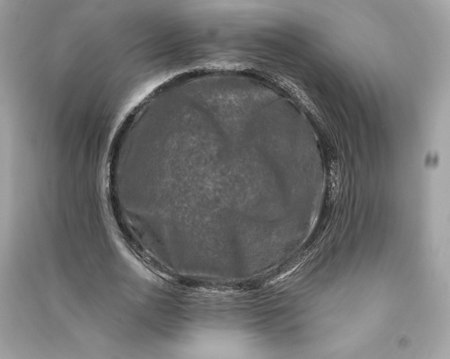 X0000090760726200708101747