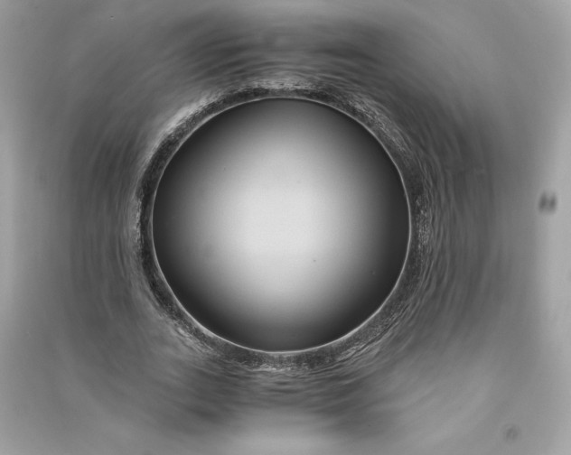 X0000090760727200708101747