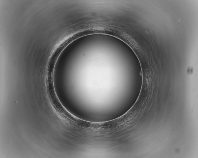 X0000090760728200708101747