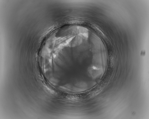 X0000090760729200708101747