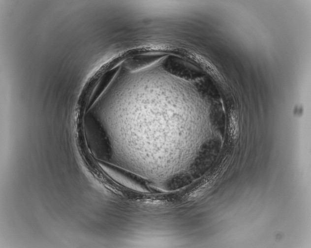 X0000090760730200708101747