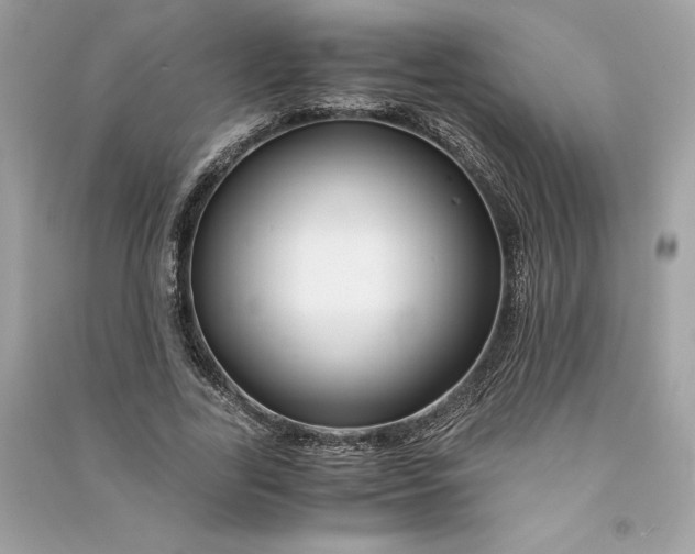 X0000090760731200708101747