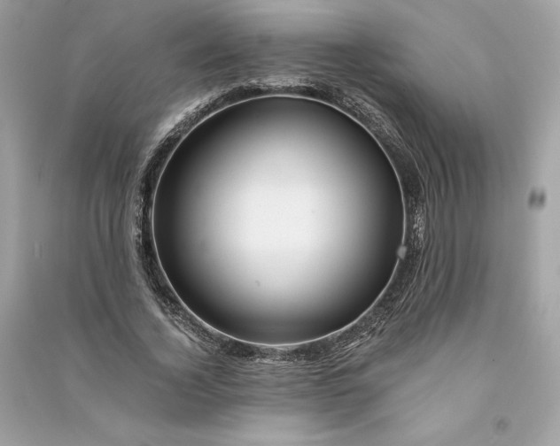 X0000090760732200708101747