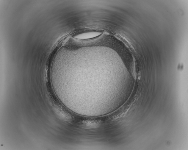 X0000090760733200708101747