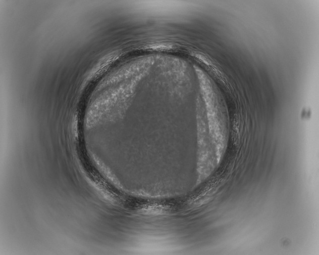 X0000090760734200708101747