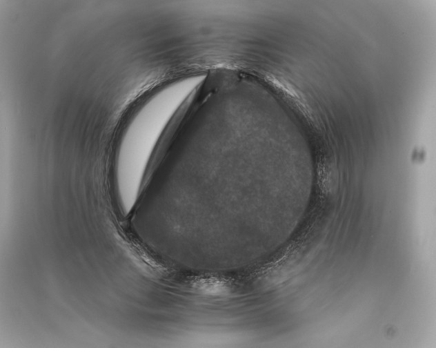 X0000090760735200708101747